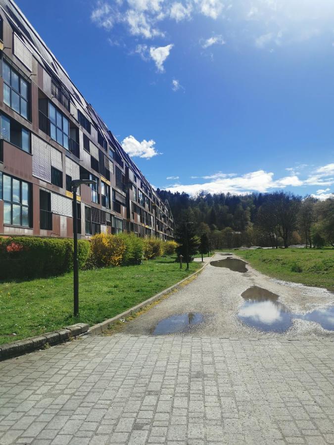 Cozy Apartment Ljubljana With Free Parking And Balcony Bagian luar foto